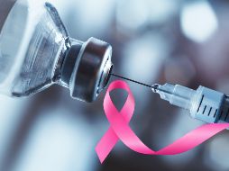 Con estos biológicos, denominados Bibliotecas de Epítopos Variables (BEVs), también se ha comprobado que adquieren una 