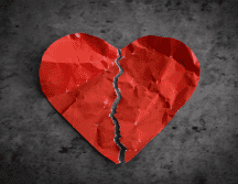 2025 estuvo lleno de momentos especiales y fuimos testigos de la unión de varias celebridades. CANVA