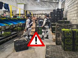 Se realizan recorridos a empacadoras e industrias cítricas, en los distintos municipios. ESPECIAL