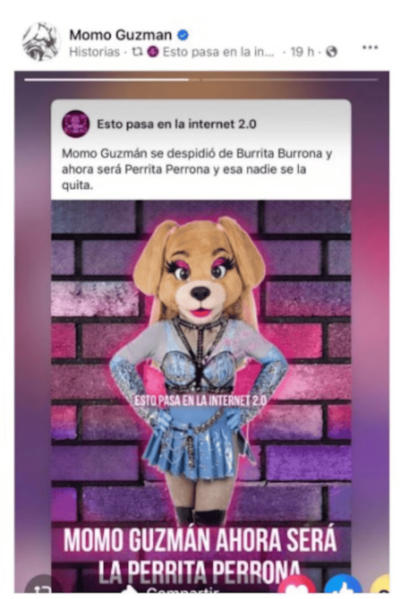 &nbsp;INSTAGRAM/@momoguzman