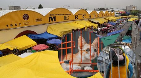 La disposición representa un cambio histórico en uno de los mercados más emblemáticos de la capital. ESPECIAL