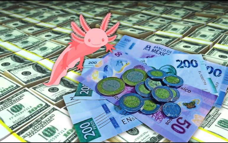 Hoy, la mejor opción en la compra del dólar —en este momento de la mañana, a las 07:40 horas— es en Banamex; y la venta, en Banorte. ESPECIAL / CANVA / SUN / ARCHIVO