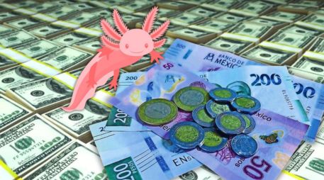 Hoy, la mejor opción en la compra del dólar —en este momento de la mañana, a las 07:40 horas— es en Banamex; y la venta, en Banorte. ESPECIAL / CANVA / SUN / ARCHIVO