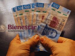 Ariadna Montiel, secretaria de Bienestar, detalló que en 2025 la dependencia a su cargo dispersó apoyos económicos a 18.5 millones de personas, con una inversión de 579 mil 304 millones de pesos. ESPECIAL / CANVA