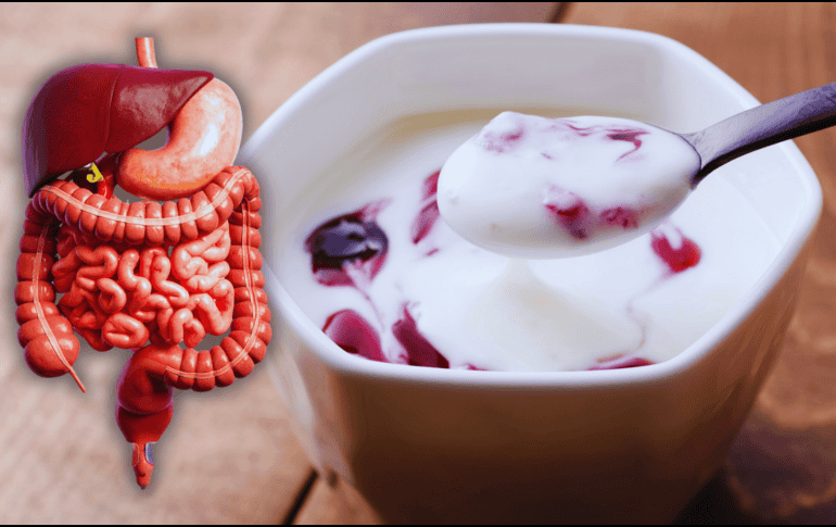 El origen fermentado del yoghurt, su digestibilidad y su capacidad para contribuir a la salud intestinal, lo posicionan como un hábito que vale la pena mantener. ESPECIAL / CANVA