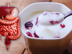 El origen fermentado del yoghurt, su digestibilidad y su capacidad para contribuir a la salud intestinal, lo posicionan como un hábito que vale la pena mantener. ESPECIAL / CANVA