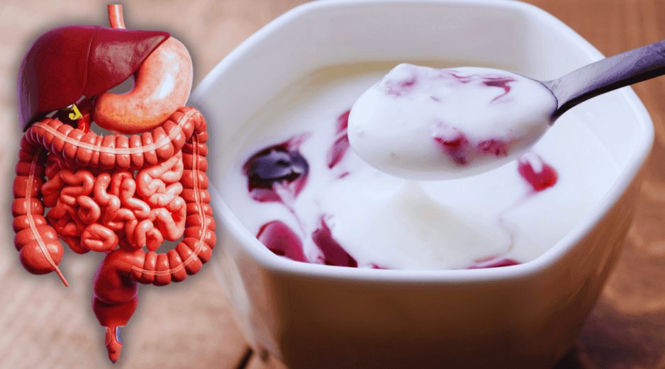 El origen fermentado del yoghurt, su digestibilidad y su capacidad para contribuir a la salud intestinal, lo posicionan como un hábito que vale la pena mantener. ESPECIAL / CANVA