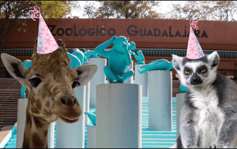 Si planeas aprovechar esta increíble promoción, te recordamos que el Zoológico Guadalajara se encuentra muy cerca de la Barranca de Huentitán. ESPECIAL/ EL INFORMADOR/ ARCHIVO/ Unsplash