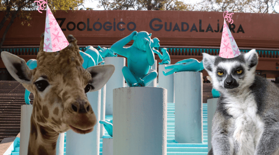 Si planeas aprovechar esta increíble promoción, te recordamos que el Zoológico Guadalajara se encuentra muy cerca de la Barranca de Huentitán. ESPECIAL/ EL INFORMADOR/ ARCHIVO/ Unsplash
