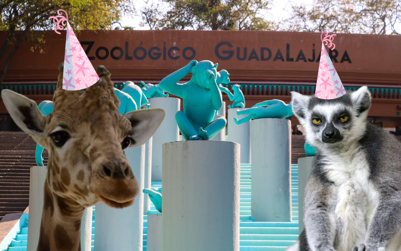 Si planeas aprovechar esta increíble promoción, te recordamos que el Zoológico Guadalajara se encuentra muy cerca de la Barranca de Huentitán. ESPECIAL/ EL INFORMADOR/ ARCHIVO/ Unsplash