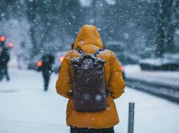 En algunas zonas de Durango, Chihuahua, Baja California y Sonora se presentarán mañanas gélidas, lo que podría provocar una ligera caída de nieve. Unsplash
