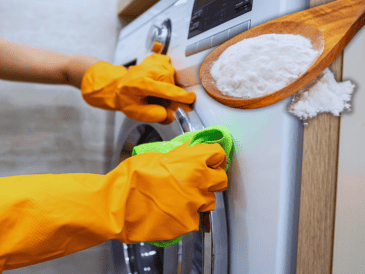 Para eliminar la suciedad de la goma de la lavadora de manera eficaz, se recomienda utilizar una solución casera a base de vinagre blanco y bicarbonato de sodio. ESPECIAL / CANVA