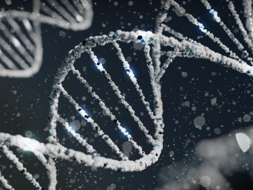 Descubre una de las enfermedades genéticas más graves que existen. UNSPLASH / S. LOHAKARE