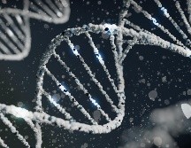 Descubre una de las enfermedades genéticas más graves que existen. UNSPLASH / S. LOHAKARE