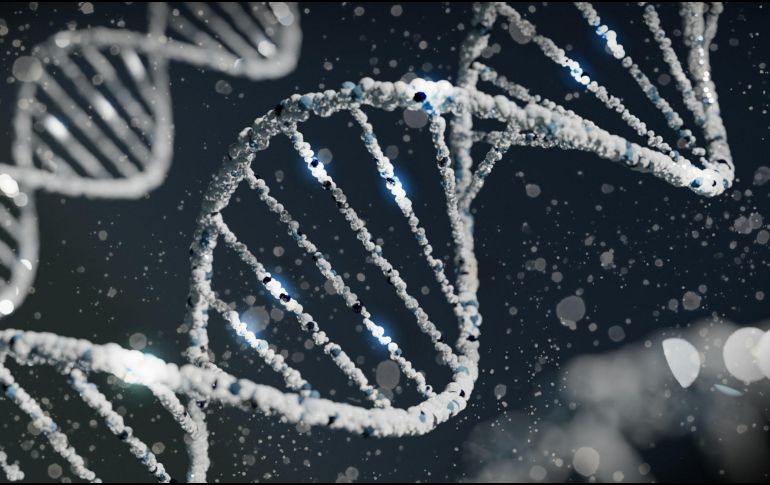 Descubre una de las enfermedades genéticas más graves que existen. UNSPLASH / S. LOHAKARE