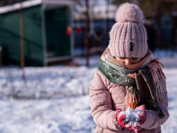 Durante el invierno, algunas zonas registran temperaturas muy bajas que permiten la formación de nieve. PIXABAY