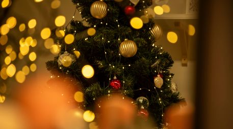 Zapopan ha registrado un promedio de dos mil 500 árboles navideños acopiados anualmente. Unsplash