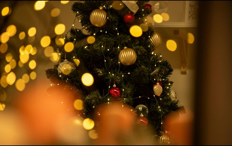 Zapopan ha registrado un promedio de dos mil 500 árboles navideños acopiados anualmente. Unsplash