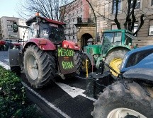Las protestas, que comenzaron en noviembre, se centraron inicialmente en el aumento de los costos de producción, empeorados por una serie de crisis. EFE/ J. DIGES
