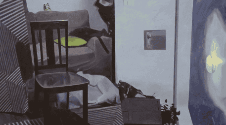 En un contexto atravesado por certezas rígidas y discursos polarizados, “Las cosas cuando nadie las ve” sugiere aceptar la existencia de otras formas de ver y de habitar el mundo. ESPECIAL/SC