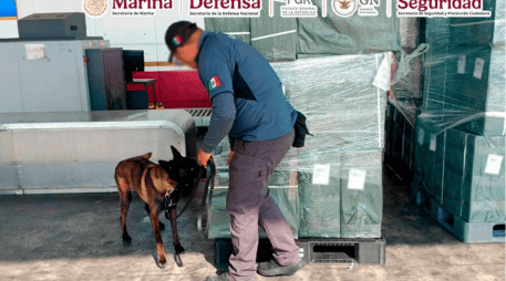 La SSPC explicó que la detección fue resultado del trabajo coordinado entre la Secretaría de Marina (Semar) y autoridades aduanales, así como del intercambio de información con autoridades japonesas. ESPECIAL