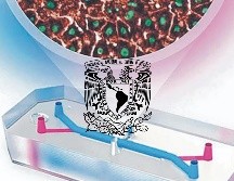 A través de un comunicado, la UNAM informó que tiene que haber un diseño previo, una simulación en computadora para después crear el molde con el que se hacen los dispositivos. ESPECIAL / UNAM