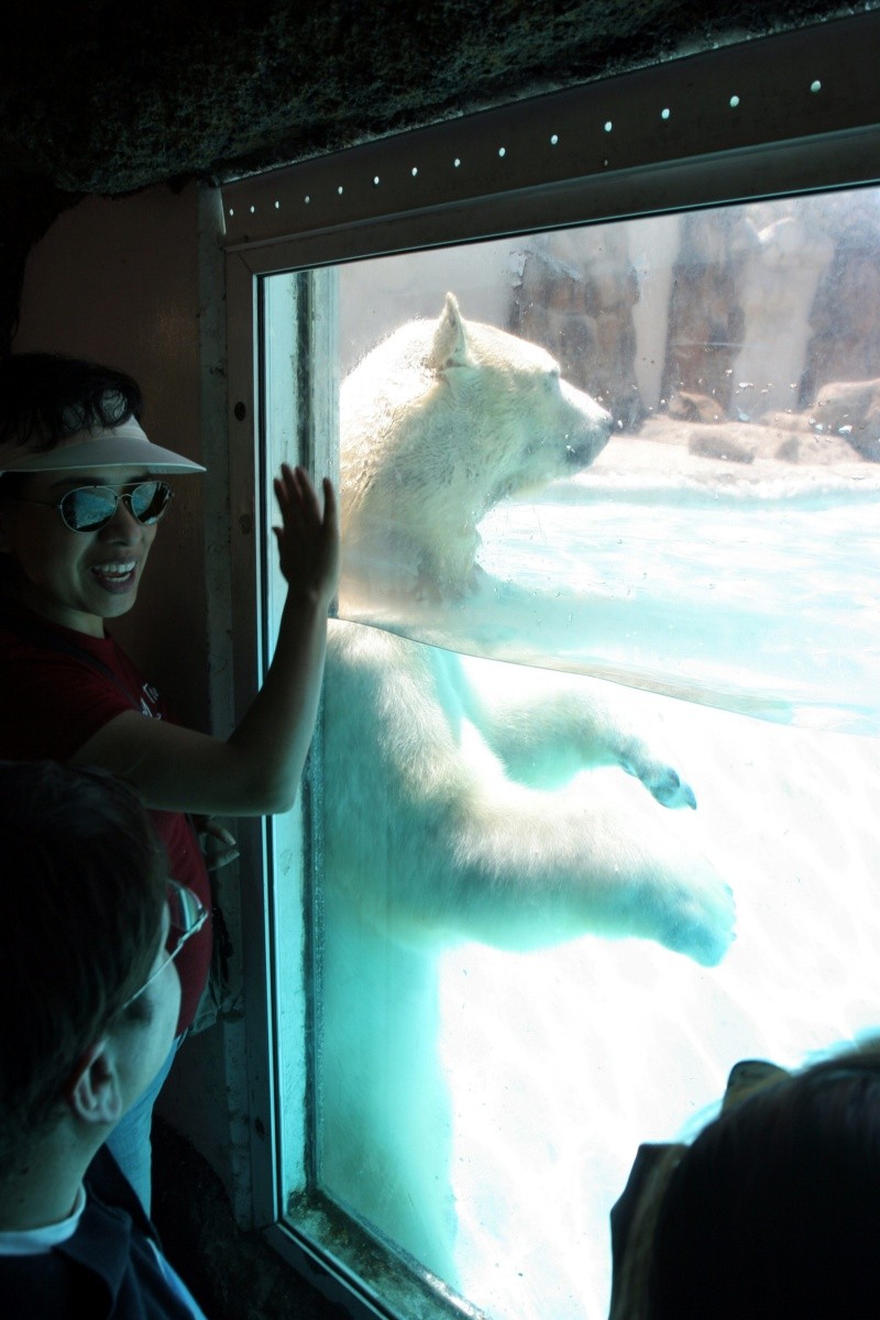 Foto del 5 de abril de 2007. EL INFORMADOR/ ARCHIVO&nbsp;