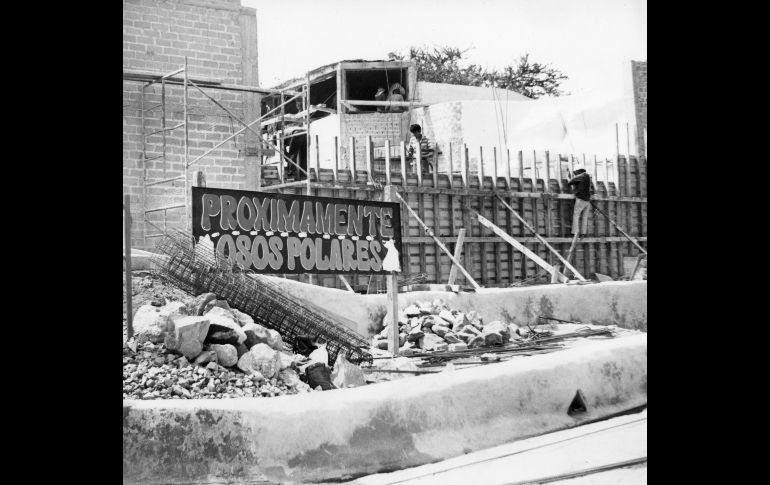 Las constantes promociones y nuevos atractivos del Zoológico de Guadalajara. 1 de diciembre de 1993. EL INFORMADOR/ ARCHIVO