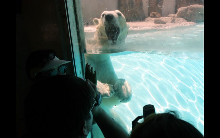 Foto del 5 de abril de 2007. EL INFORMADOR/ ARCHIVO