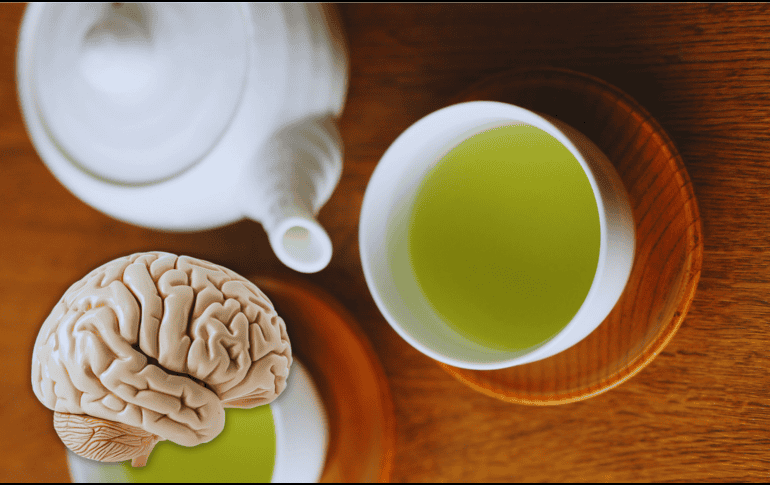 Para confirmar los beneficios del té verde sobre la salud cerebral en distintas poblaciones, será necesario profundizar con grupos más diversos. ESPECIAL / CANVA