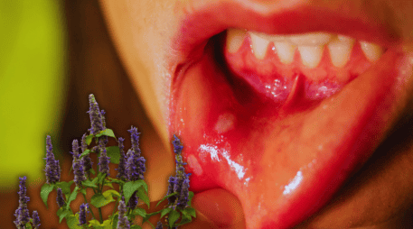 El poder curativo de la agastache radica en su capacidad para actuar de manera directa sobre las áreas afectadas. ESPECIAL / CANVA