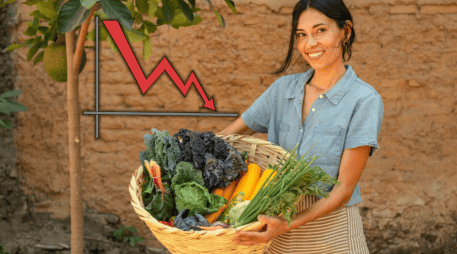 Los productores agrícolas en México verán agravada su situación, ante el hecho de que se hundirán los precios del grano. UNPLASH/CANVA/ESPECIAL