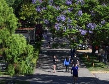 La inactividad física está asociada con 1 de cada 6 muertes en el Reino Unido. EFE/ J. RONCORONI