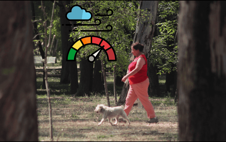 Índice de la calidad por zonas del AMG. EL INFORMADOR / ARCHIVO