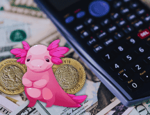 Hoy, la mejor opción en la compra del dólar —en este momento de la mañana, a las 08:00 horas— es en Banamex; y la venta, en BBVA Bancomer. ESPECIAL / CANVA