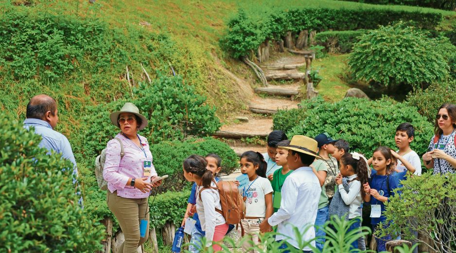 A lo largo de 2025, 6.8 millones de personas acudieron a los bosques urbanos de la ZMG. ESPECIAL