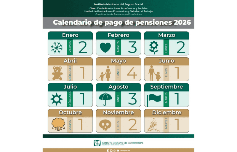 ESPECIAL / IMSS&nbsp;