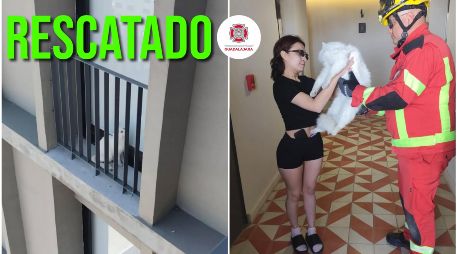 La mascota fue entregada a su dueña sana y salva. ESPECIAL / FACEBOOK Protección Civil y Bomberos GDL