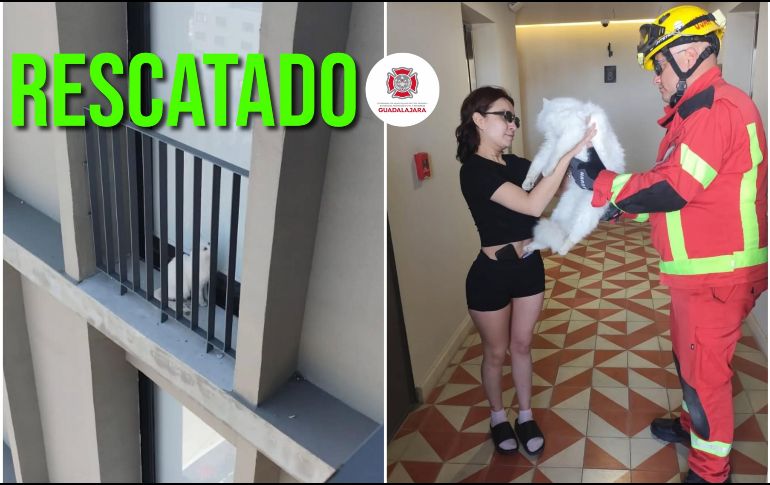 La mascota fue entregada a su dueña sana y salva. ESPECIAL / FACEBOOK Protección Civil y Bomberos GDL