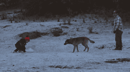 Se espera la caída de nieve o aguanieve en las cimas de varias montañas de México. SUN/ARCHIVO