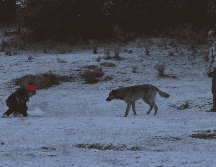 Se espera la caída de nieve o aguanieve en las cimas de varias montañas de México. SUN/ARCHIVO