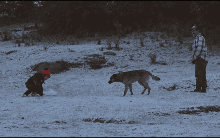 Se espera la caída de nieve o aguanieve en las cimas de varias montañas de México. SUN/ARCHIVO