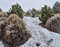 La espera terminó ayer, 16 de enero, cuando se registró la primera nevada del año en la cima del Nevado de Colima. ESPECIAL / Secretaría de Medio Ambiente y Desarrollo Territorial