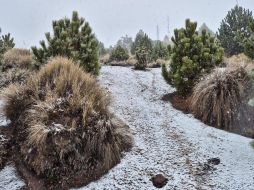 La espera terminó ayer, 16 de enero, cuando se registró la primera nevada del año en la cima del Nevado de Colima. ESPECIAL / Secretaría de Medio Ambiente y Desarrollo Territorial