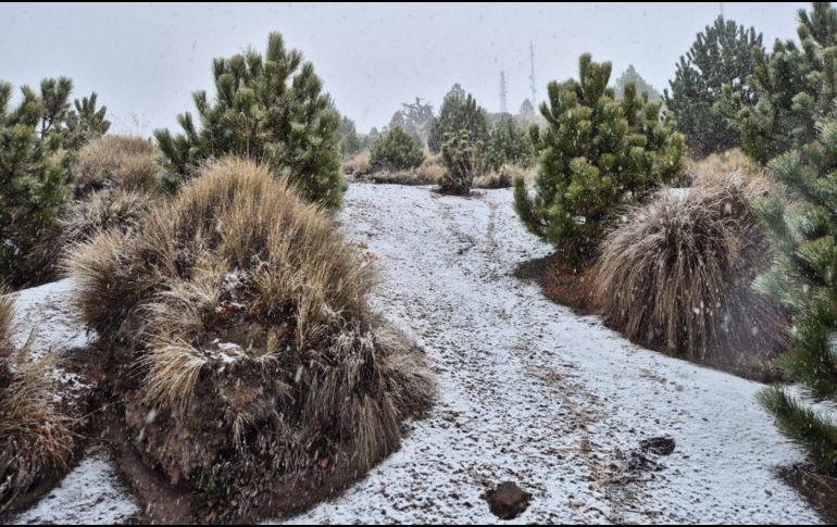 La espera terminó ayer, 16 de enero, cuando se registró la primera nevada del año en la cima del Nevado de Colima. ESPECIAL / Secretaría de Medio Ambiente y Desarrollo Territorial
