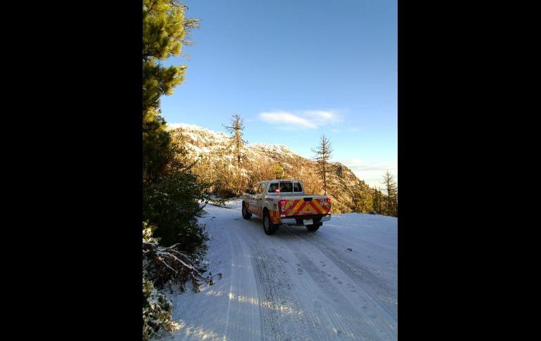 ESPECIAL / Protección Civil Jalisco