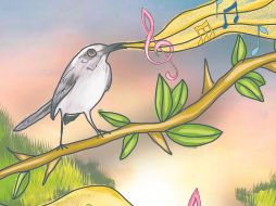 Registrar aves en una ciudad como Guadalajara es reconocer que la naturaleza no está afuera, sino entre nosotros. CORTESÍA/Valeria Berrueco