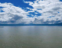 Chapala se asienta sobre la confluencia de tres fosas tectónicas, zonas donde la corteza terrestre se hunde por el movimiento de fallas. EL INFORMADOR / ARCHIVO