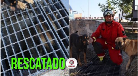 Bomberos de Zapopan lograron el rescate y dejaron al perro en libertad. ESPECIAL / FACEBOOK Protección Civil y Bomberos Zapopan