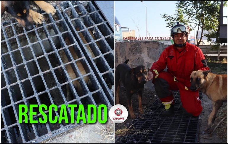 Bomberos de Zapopan lograron el rescate y dejaron al perro en libertad. ESPECIAL / FACEBOOK Protección Civil y Bomberos Zapopan